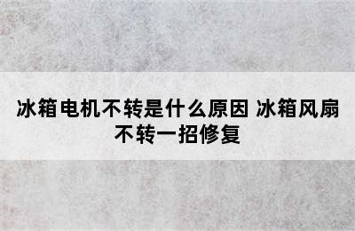 冰箱电机不转是什么原因 冰箱风扇不转一招修复